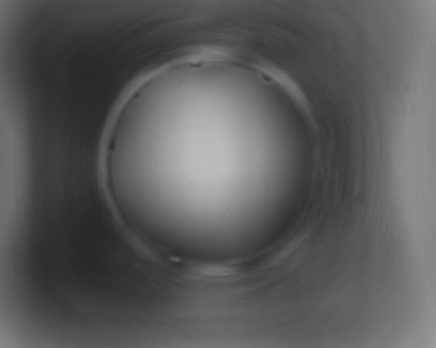 X0000100781488200807031221