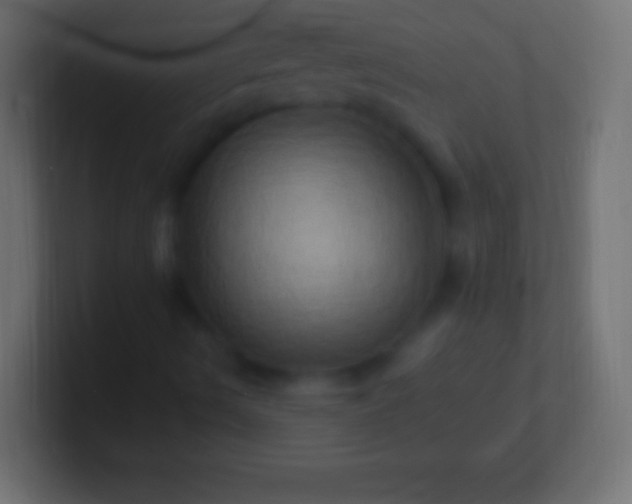 X0000100781490200807031220