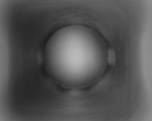 X0000100781491200807031220