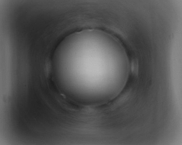 X0000100781492200807031220