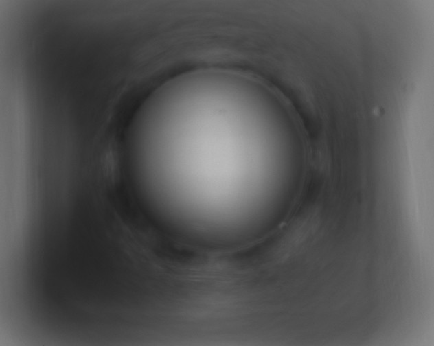 X0000100781493200807031220