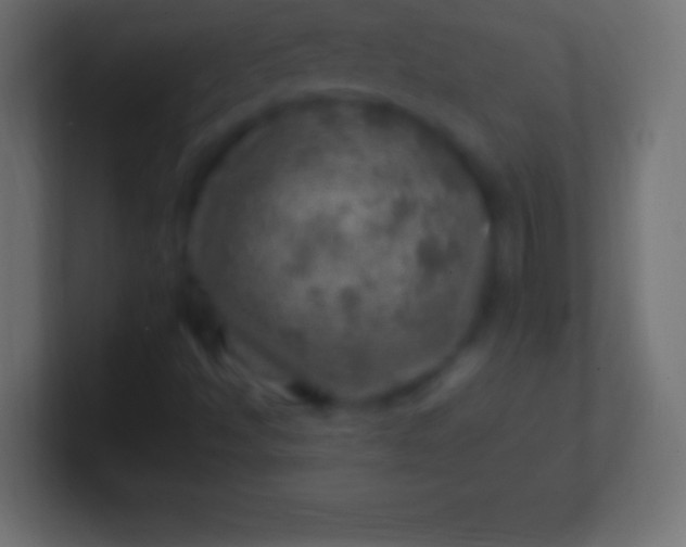 X0000100781494200807031220