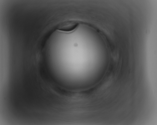 X0000100781495200807031220