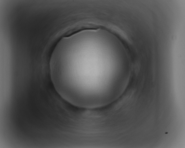 X0000100781496200807031220