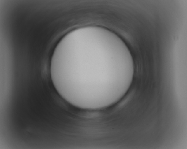 X0000100781498200807031220