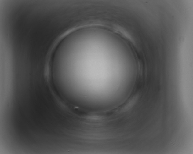 X0000100781500200807031220