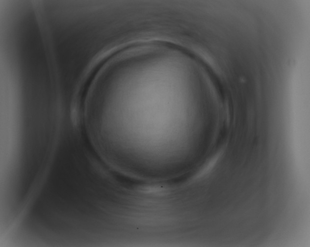 X0000100781501200807031220