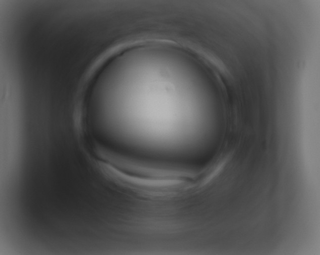 X0000100781502200807031220