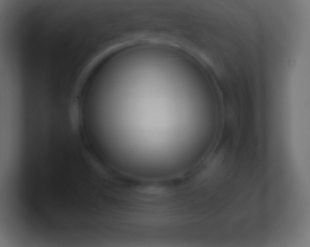 X0000100781503200807031220