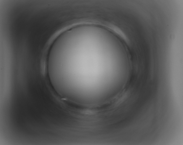 X0000100781504200807031220