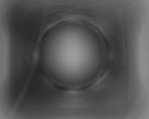 X0000100781505200807031220