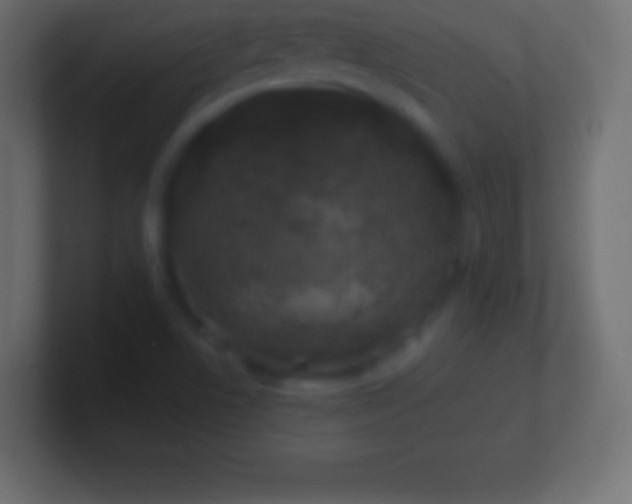 X0000100781506200807031220