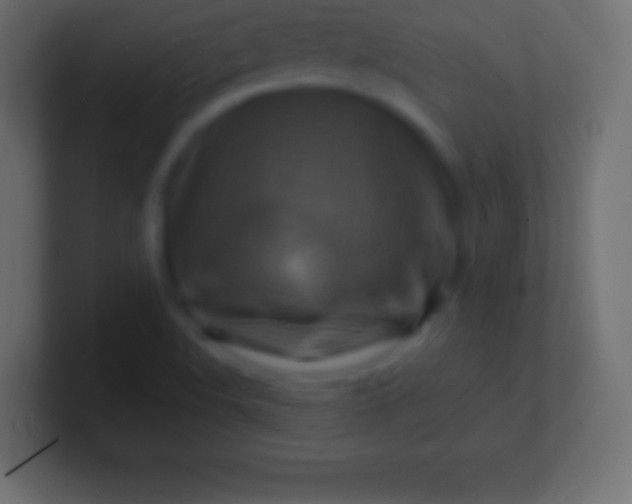 X0000100781508200807031220