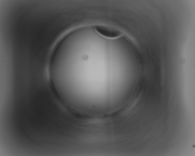 X0000100781510200807031220