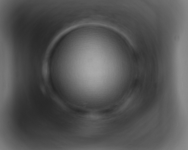 X0000100781511200807031220