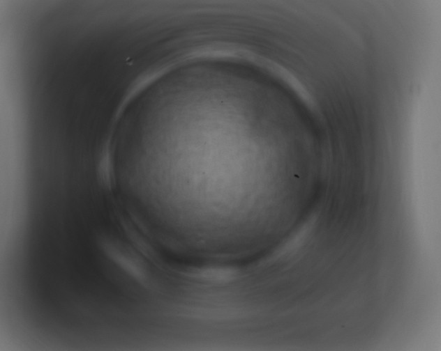 X0000100781513200807031220