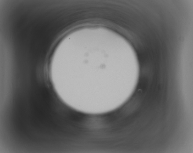 X0000100781514200807031220