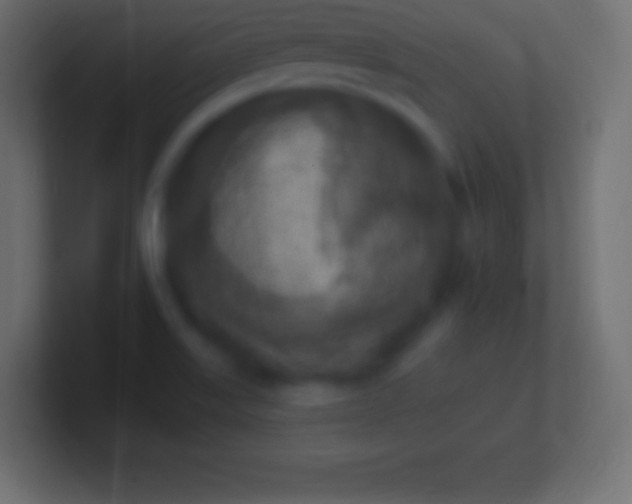 X0000100781515200807031220