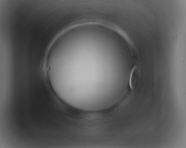 X0000100781516200807031220