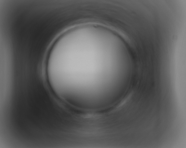 X0000100781518200807031220