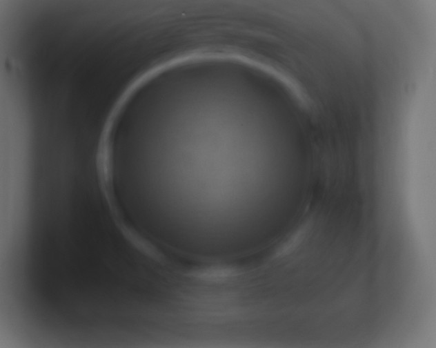 X0000100781519200807031220