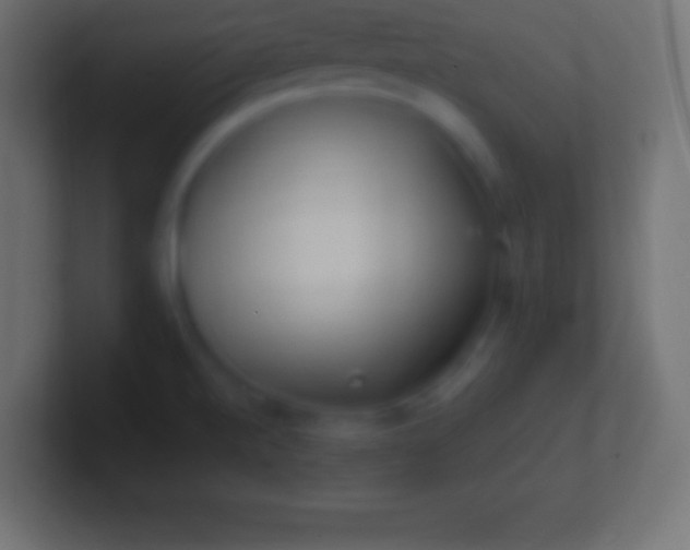 X0000100781520200807031220