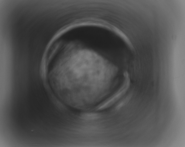 X0000100781522200807031220