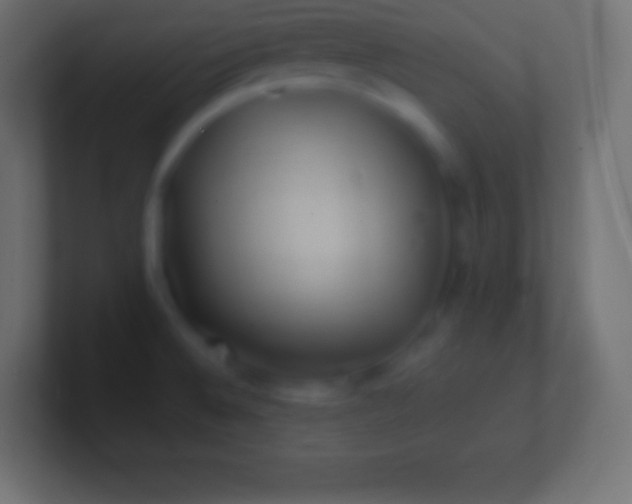 X0000100781524200807031220