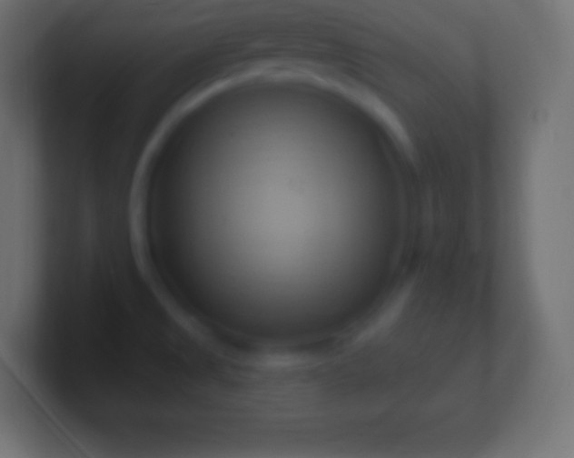 X0000100781525200807031220