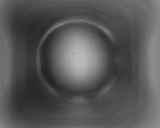 X0000100781526200807031220