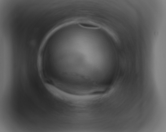 X0000100781527200807031220