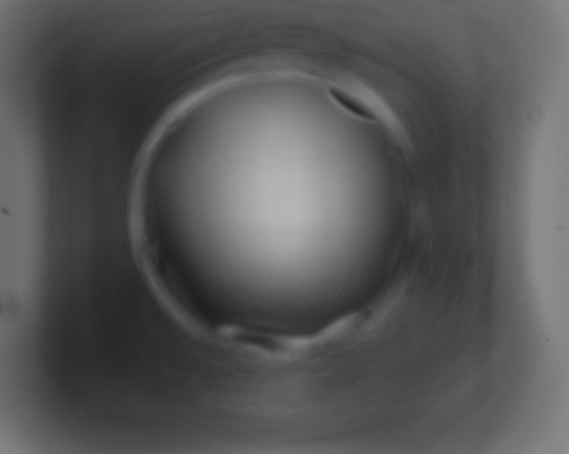 X0000100781528200807031220