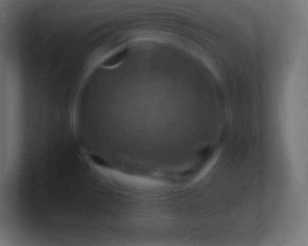 X0000100781529200807031221