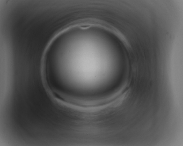 X0000100781530200807031221