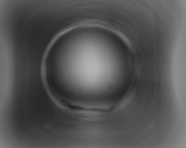 X0000100781531200807031221