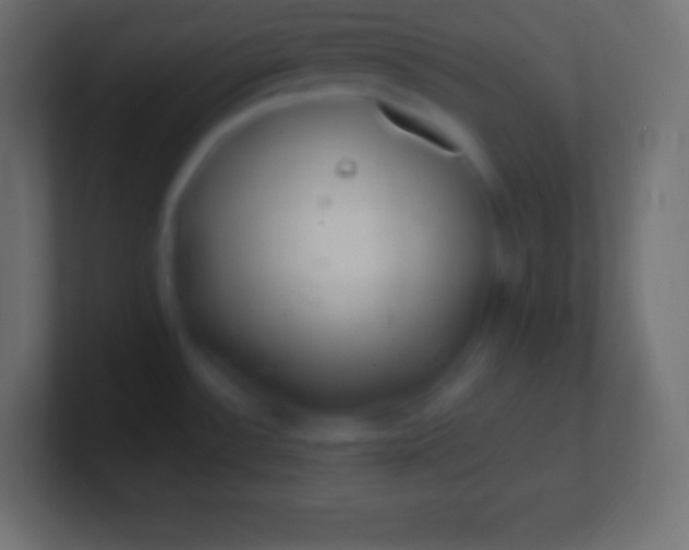 X0000100781532200807031221