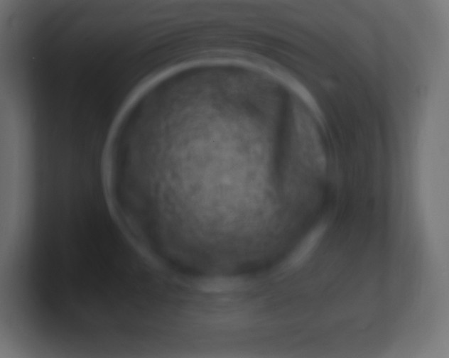 X0000100781533200807031221