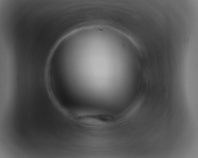 X0000100781534200807031221