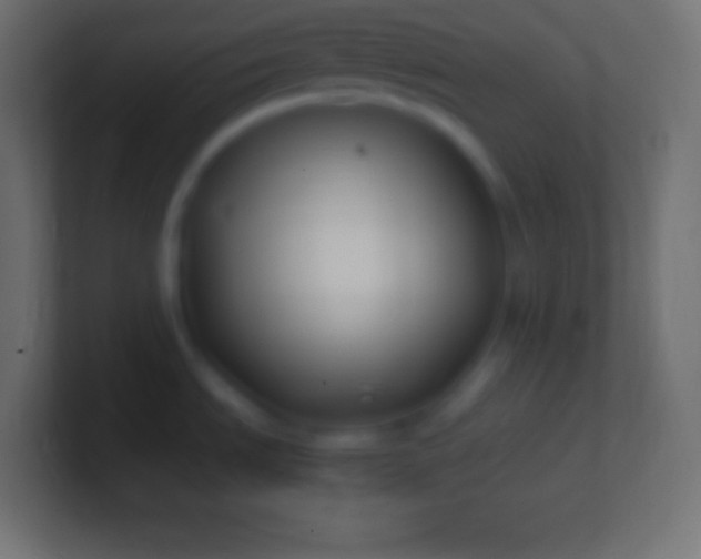 X0000100781535200807031221