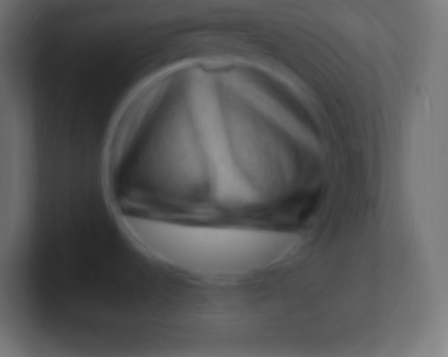 X0000100781536200807031221