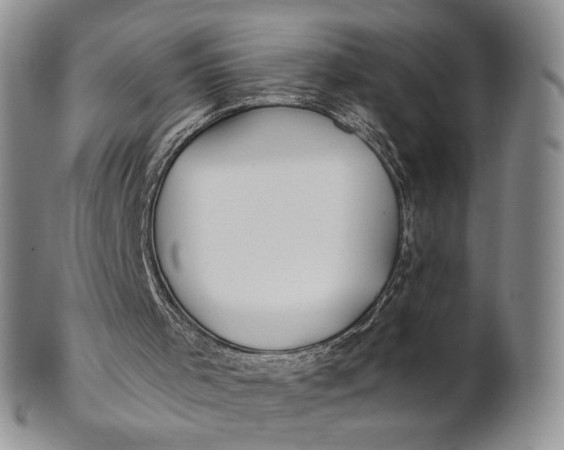 X0000100780001200807101827