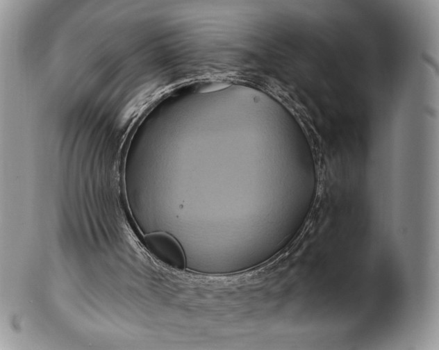 X0000100780002200807101827