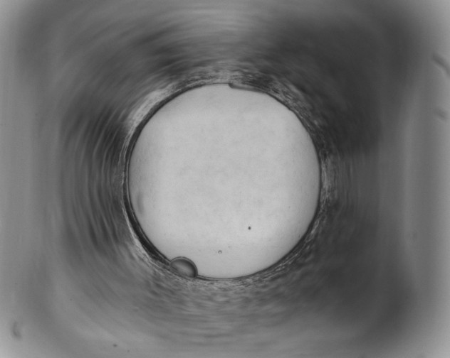X0000100780003200807101827