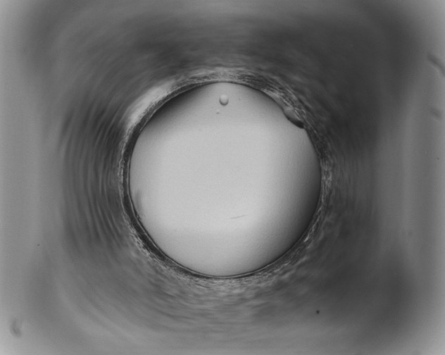 X0000100780006200807101827