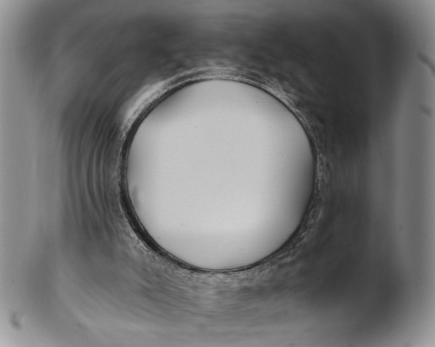 X0000100780007200807101827