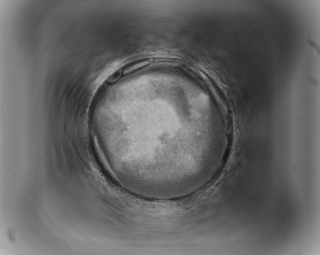 X0000100780008200807101827
