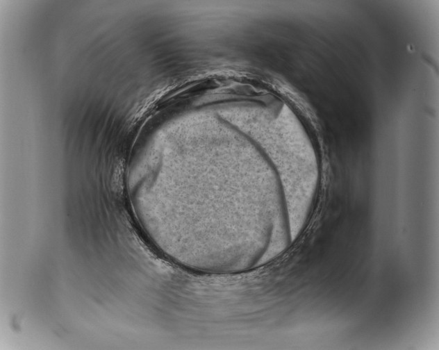 X0000100780009200807101827