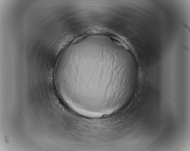 X0000100780010200807101827