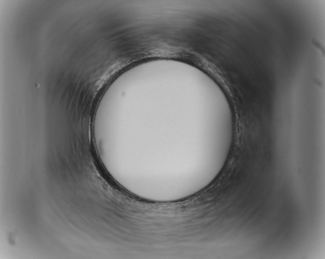 X0000100780011200807101827