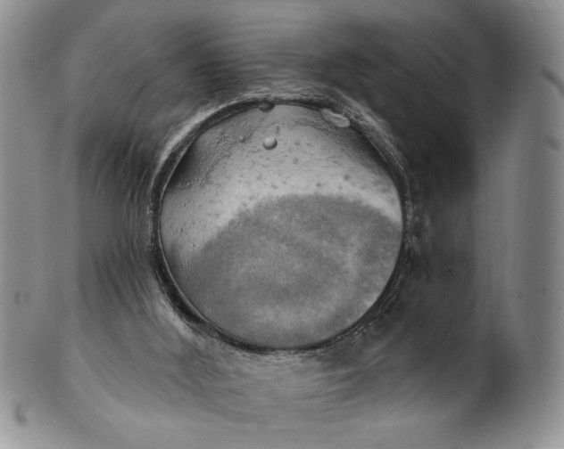 X0000100780012200807101827